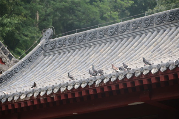 今泰裝飾出游記 | 我們有一千種姿勢玩出精彩！(圖4)