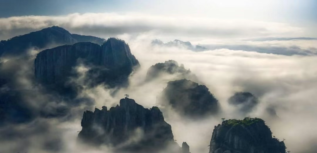 【辦公案例】武漢郎滌，員工的第二個心靈居所(圖4)