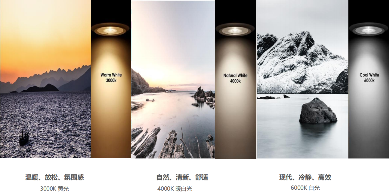 【設(shè)計(jì)案例】普照國(guó)康醫(yī)藥辦公室項(xiàng)目概念設(shè)計(jì)——以空間敘事，筑品牌基因(圖26)