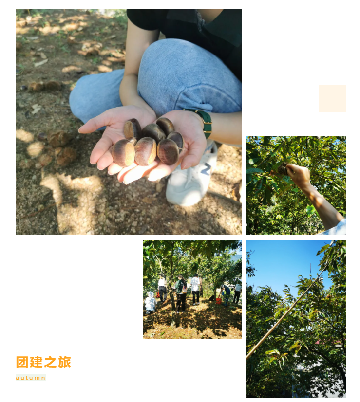 秋天了，來一場成年人的秋游吧(圖6)